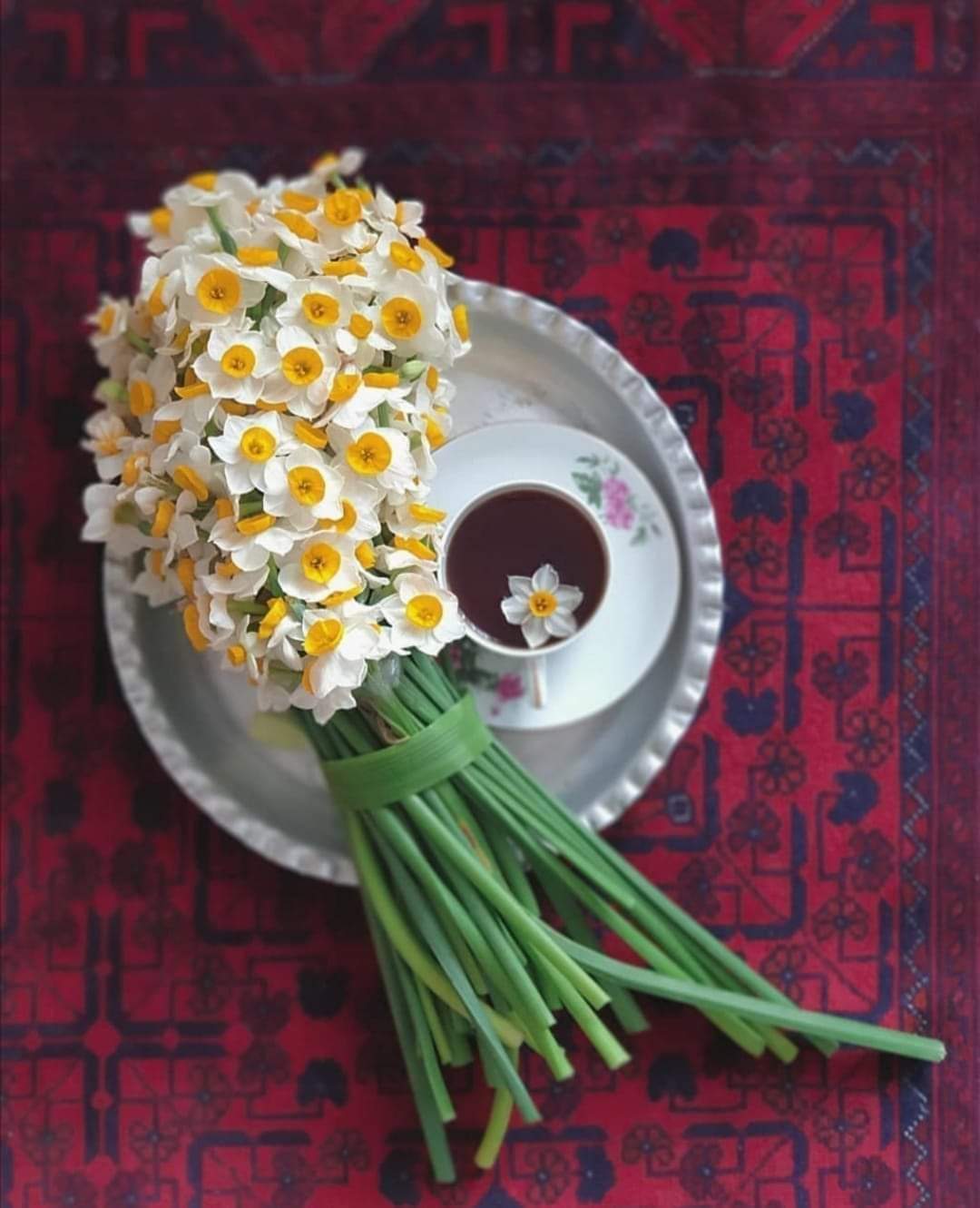 Folla2015@gmail.com Afef_GSWfn