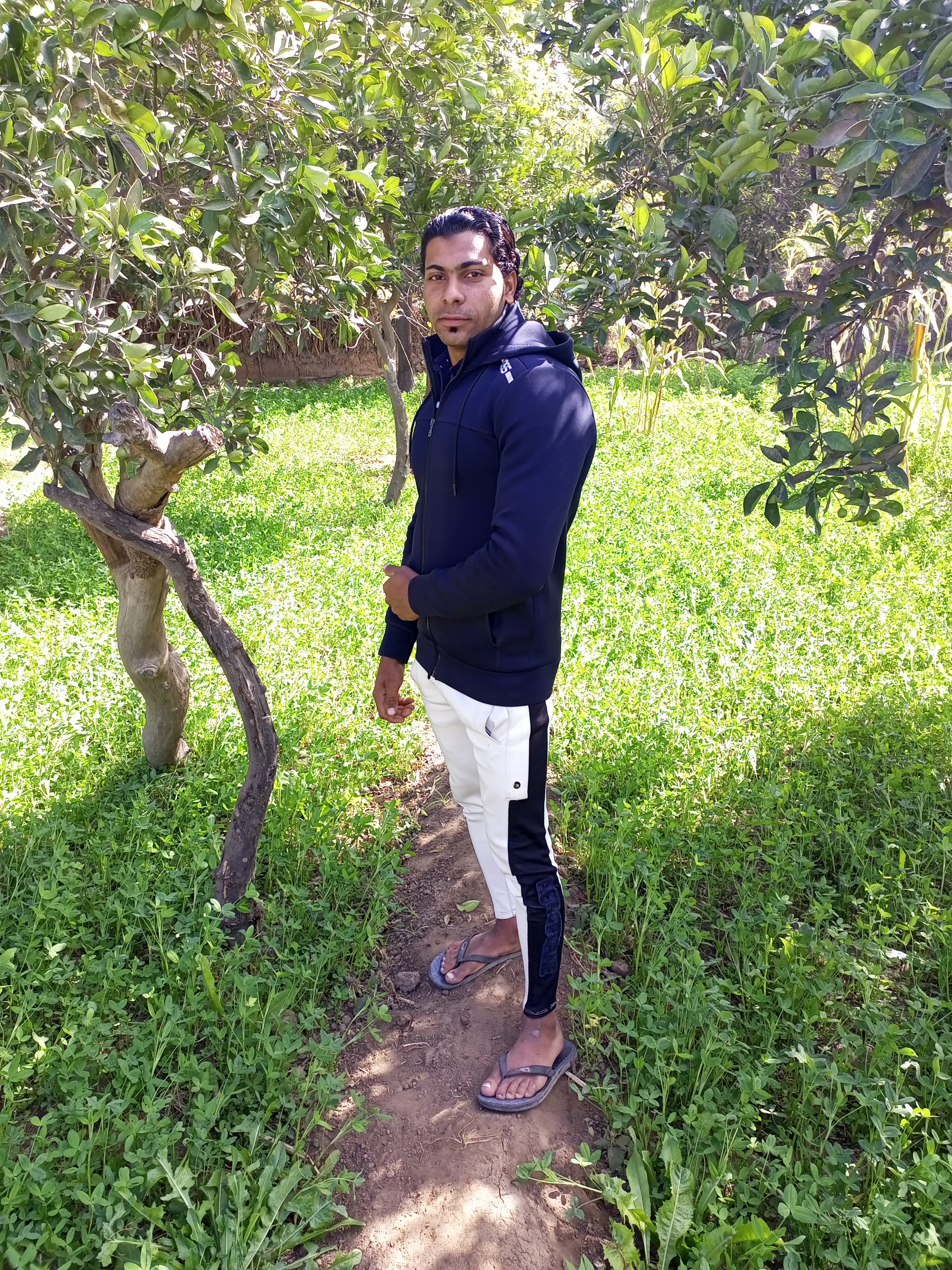 ��� ����_QVF2G