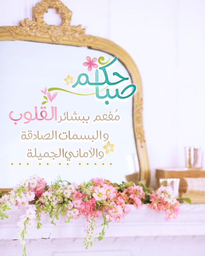 alaa78