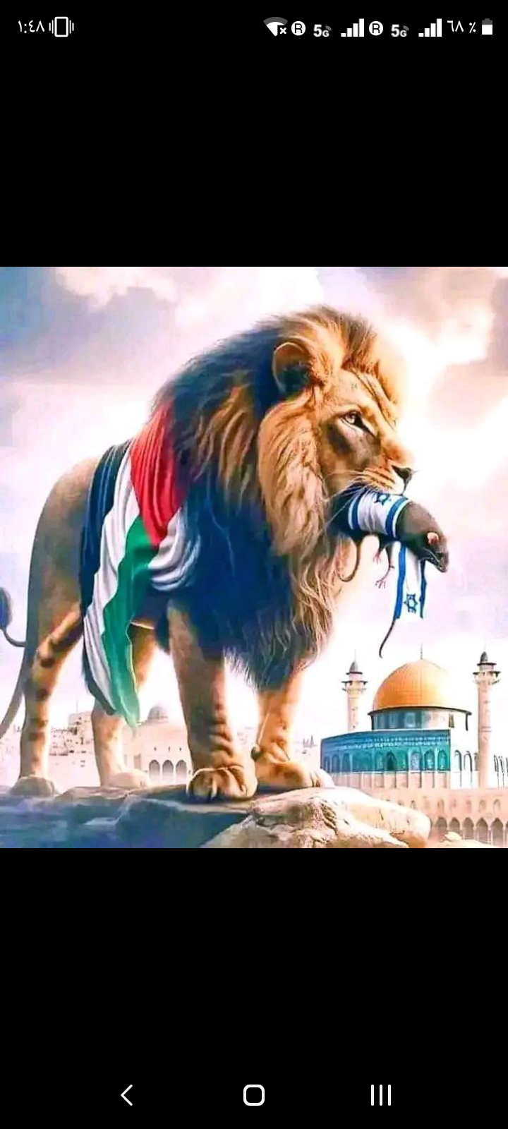 ����� ����_Nm7DA