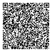 mohamed amine abdelaoui_2ilev