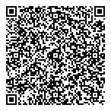 ���� �������_YlelZ